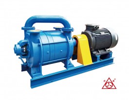 2SK水環(huán)真空泵